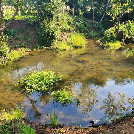 Le Clos Des Sources Isigny-sur-Mer Εξωτερικό φωτογραφία