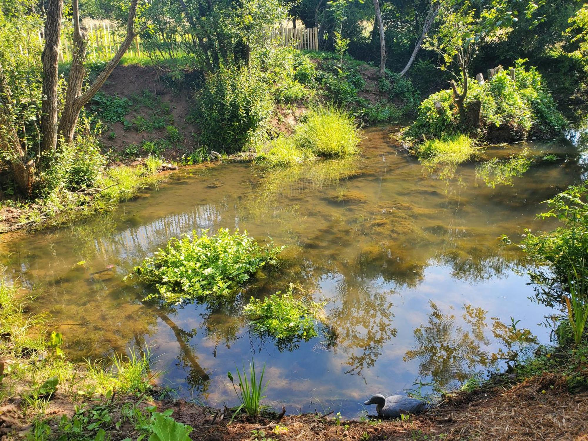 Le Clos Des Sources Isigny-sur-Mer Εξωτερικό φωτογραφία